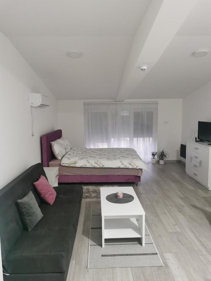 Studio Apartmani Banja Koviljača Exteriér fotografie