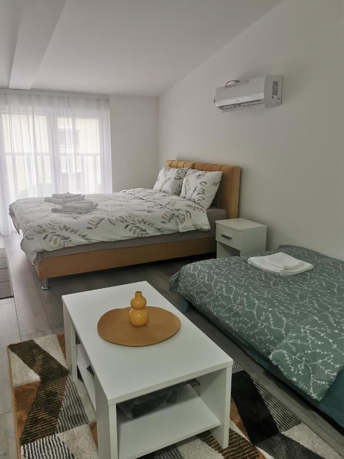 Studio Apartmani Banja Koviljača Exteriér fotografie